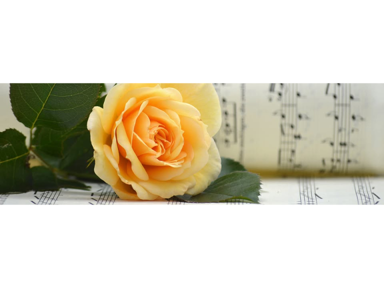 Kennet Opera Summer Concert