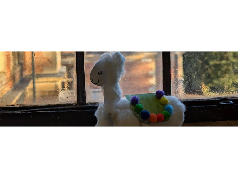 Llama Lookout Family Trail