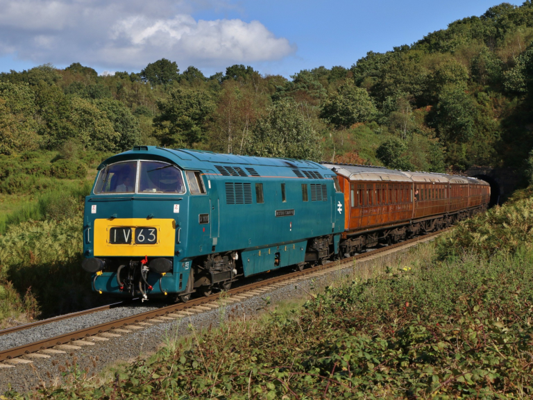 Summer Diesel Festival 2025 - WSR