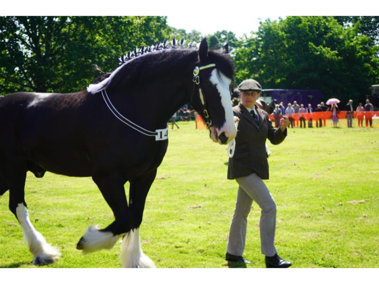 Heavy Horse and Country Show