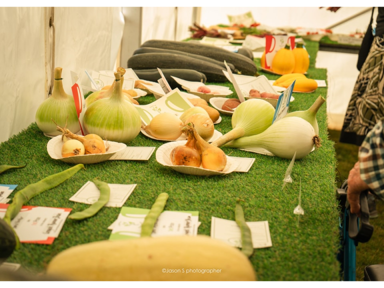 The Great Middleton Park Show 2025