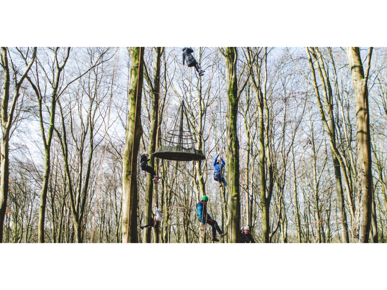 May Half Term Activities - Tree Climbing 