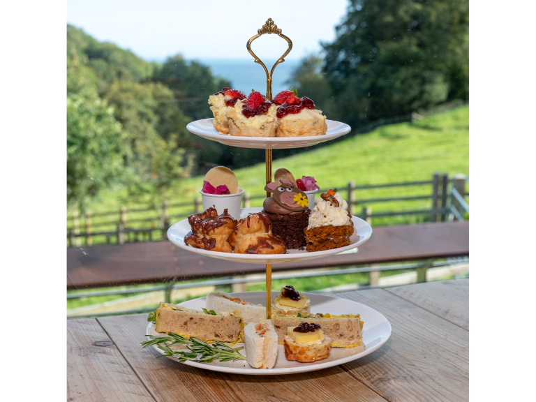 Bray beyond borders; Afternoon Tea for Donkeys Worldwide