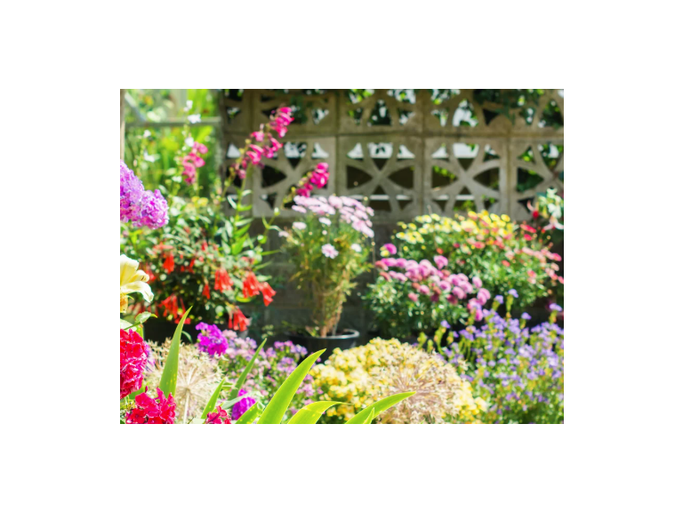 In Conversation with... Garden Experts