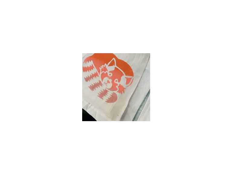 Workshop - Intro to Screen Printing with artist Caroline Coates