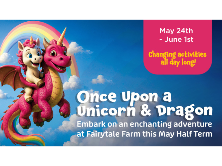 Once Upon a Unicorn and Dragon