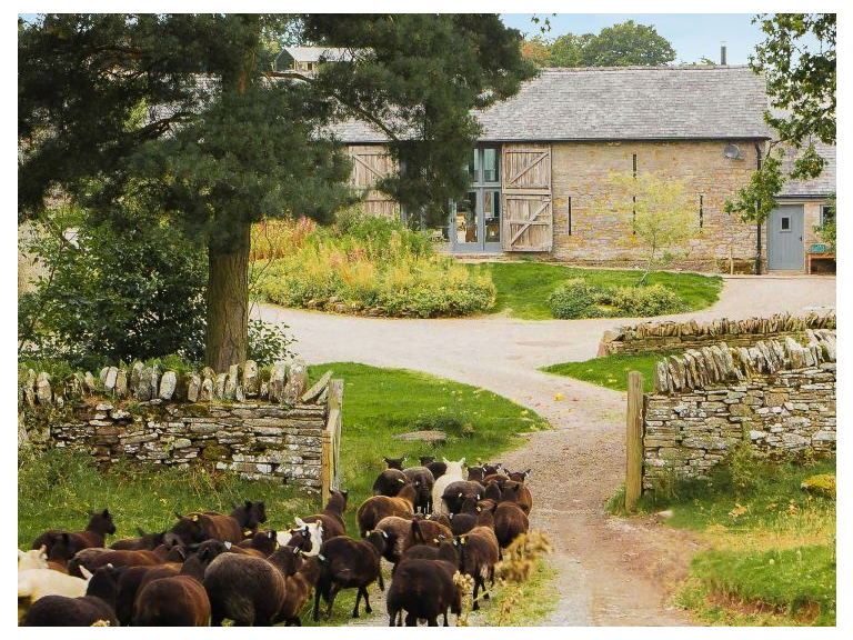 Herefordshire Foraging Courses with Wild Food UK, Drovers Rest.