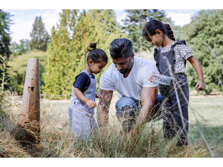 Summer Holidays – The Great Woodland Adventure