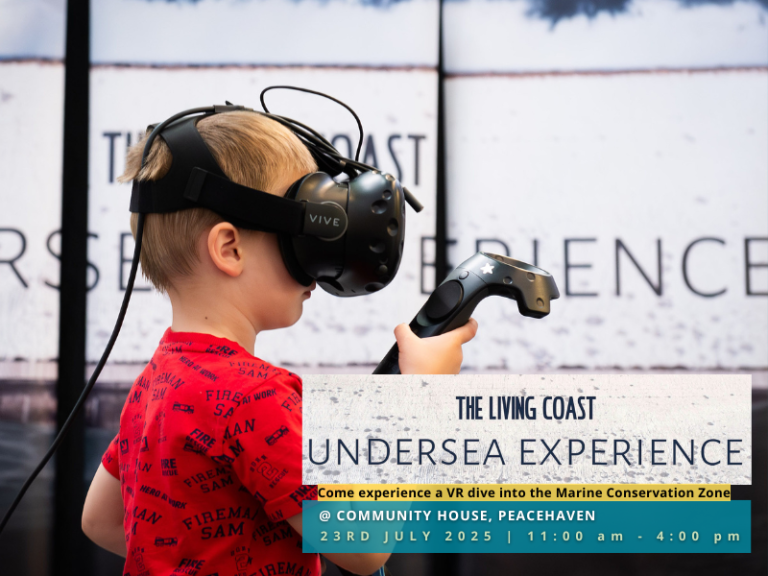 The Living Coast Undersea Experience: Peacehaven