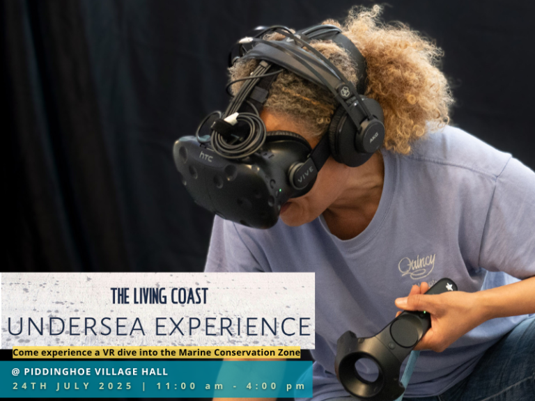 The Living Coast Undersea Experience: Piddinghoe