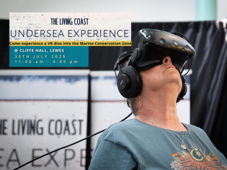 The Living Coast Undersea Experience: Lewes