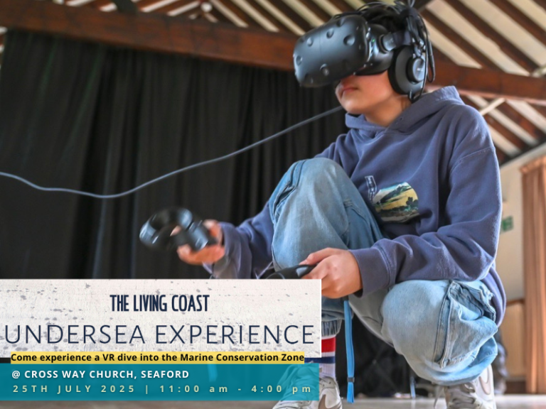 The Living Coast Undersea Experience: Seaford