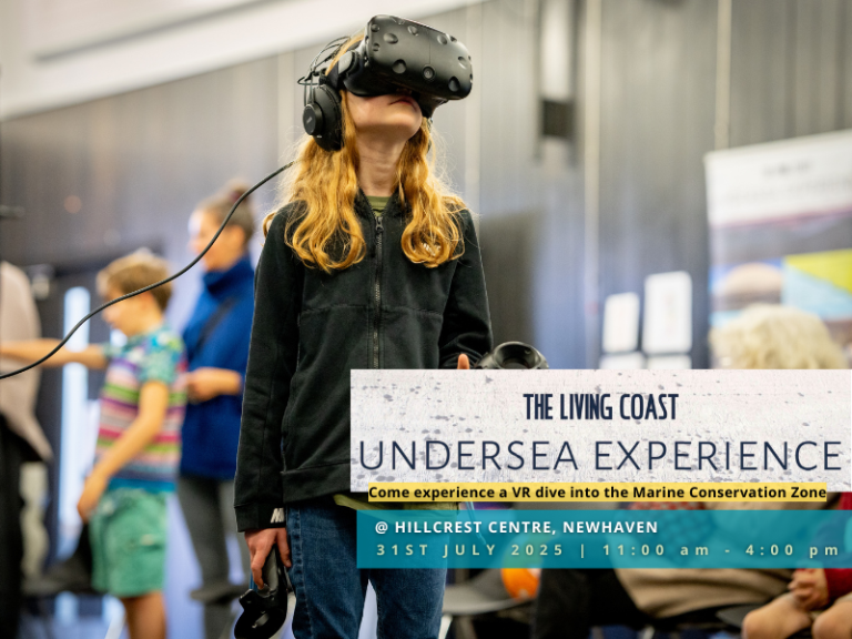 The Living Coast Undersea Experience: Newhaven