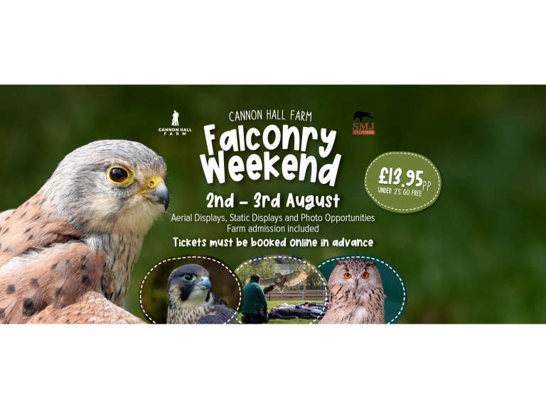 Falconry at Cannon Hall Farm