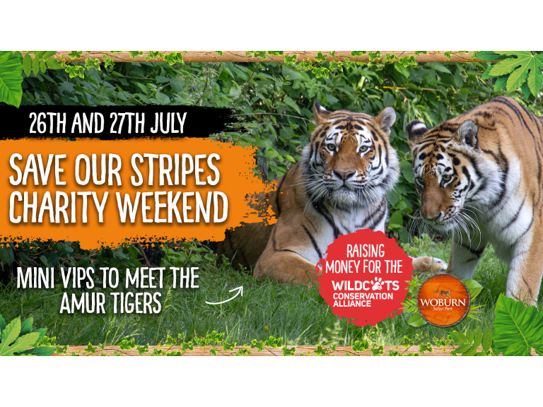 Save Our Stripes Charity Weekend 26th - 27th July