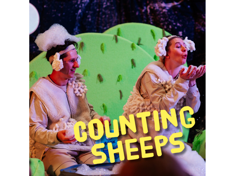 Counting Sheeps