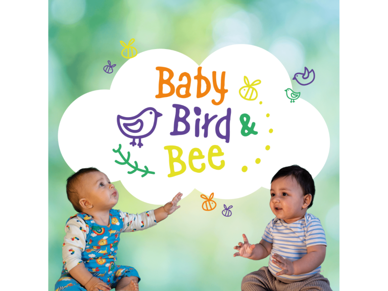 Baby, Bird & Bee