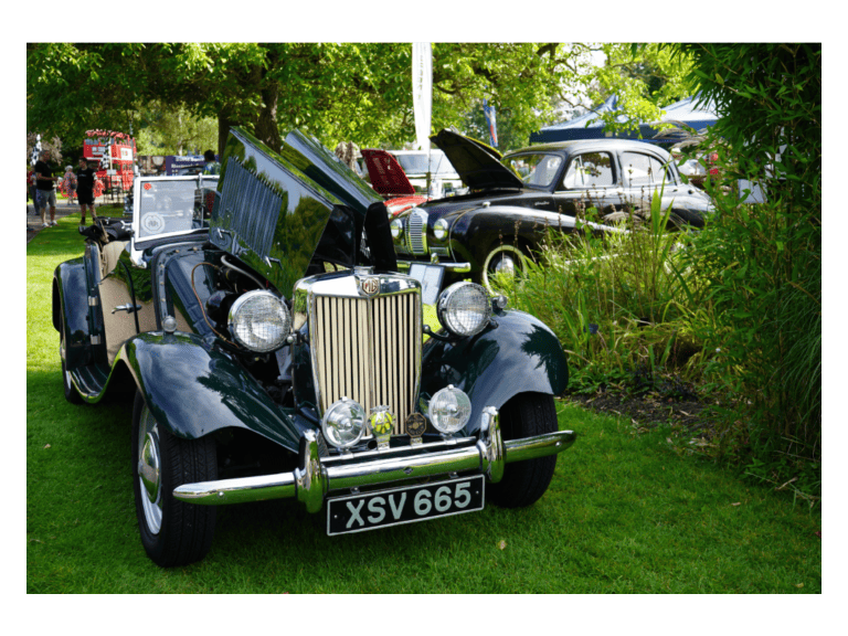 Classic and Vintage Car Show 2025 (Visitor admission)