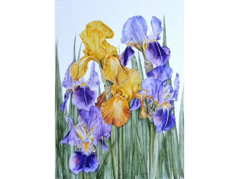 Exploring Senses: The Society of Graphic Fine Art