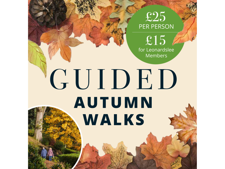 Autumn Guided Walks 