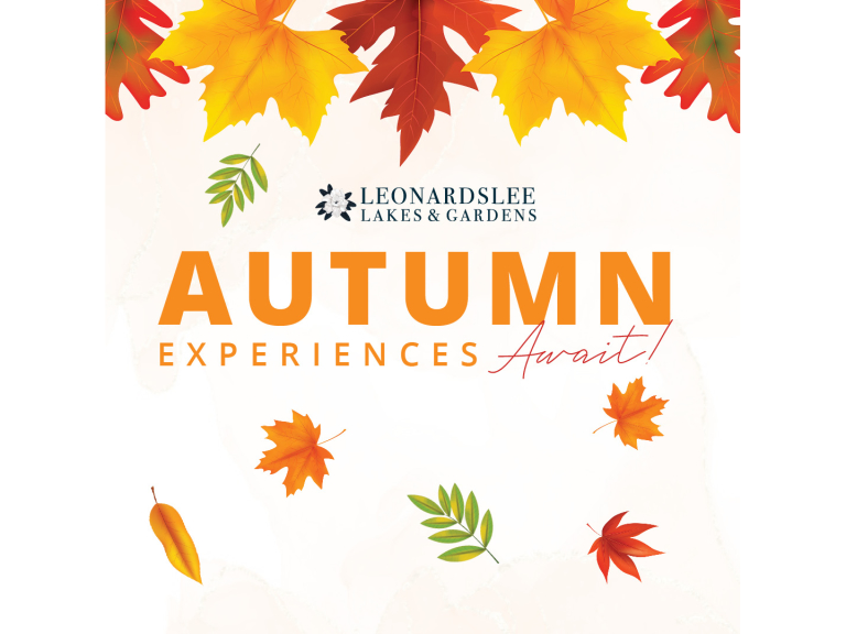 Autumn Workshops at Leonardslee Lakes & Gardens