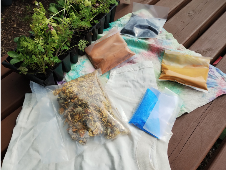 Cosy Crafting Autumn - Natural Dye Workshop