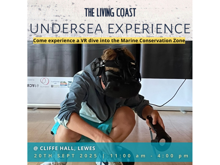 The Living Coast Undersea Experience at Cliffe Hall, Lewes