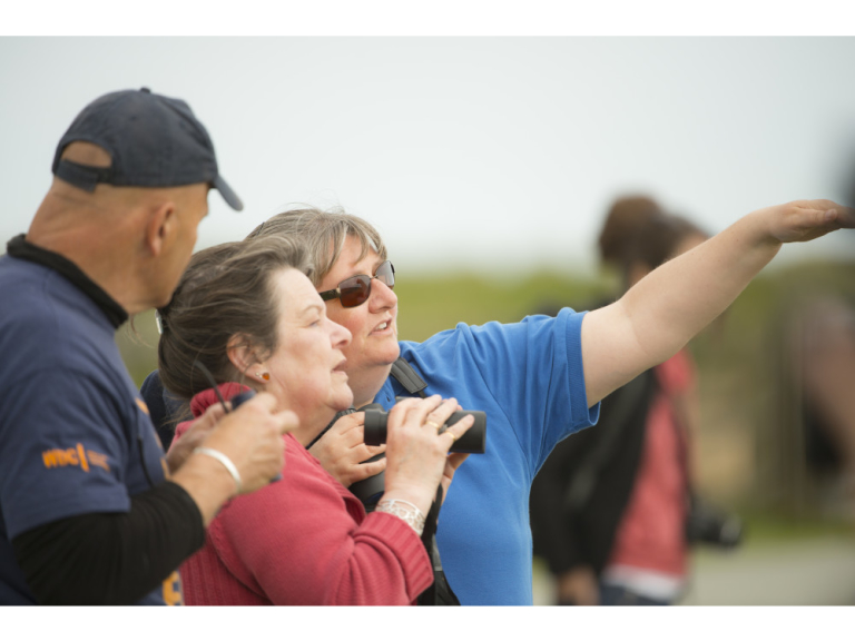 RSPB Rainham Marshes Birdwatching for Beginners