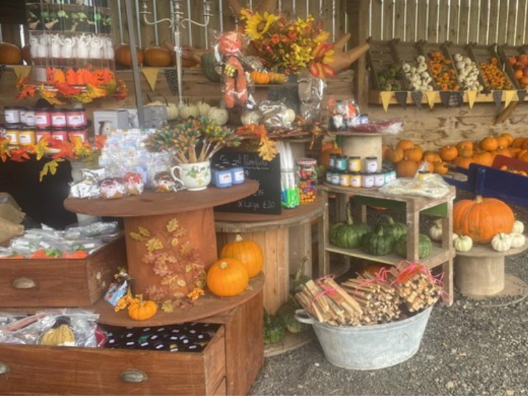 Le Hechet Farm Pumpkins