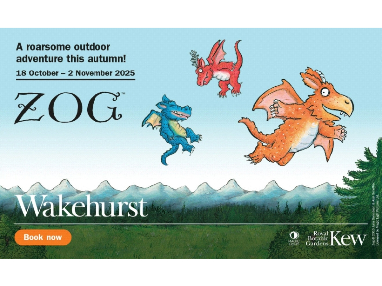 Zog