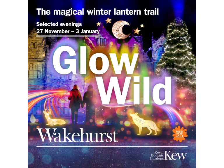 Glow Wild