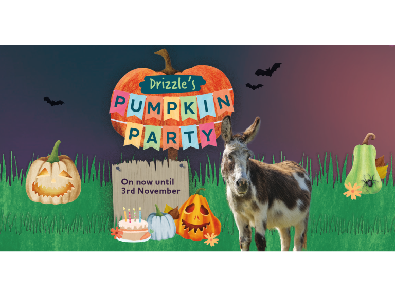 Drizzle's Pumpkin Party Halloween Trail