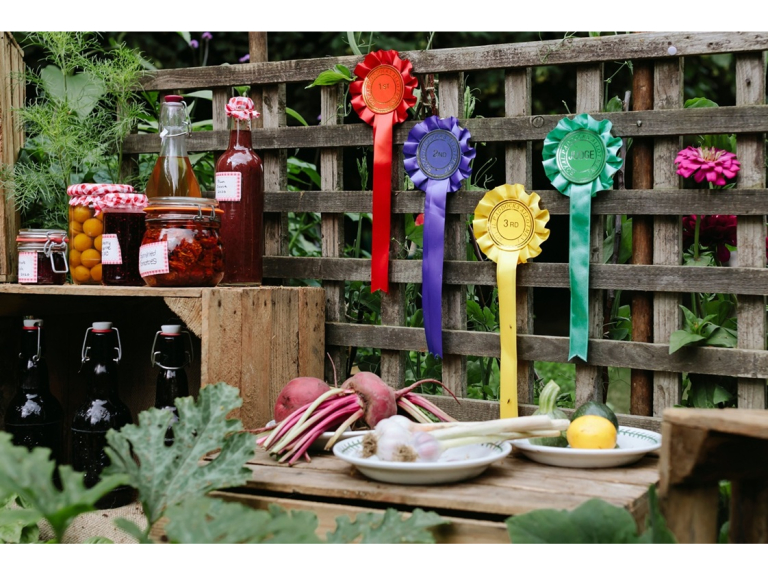 Pumpkins and Prizes
