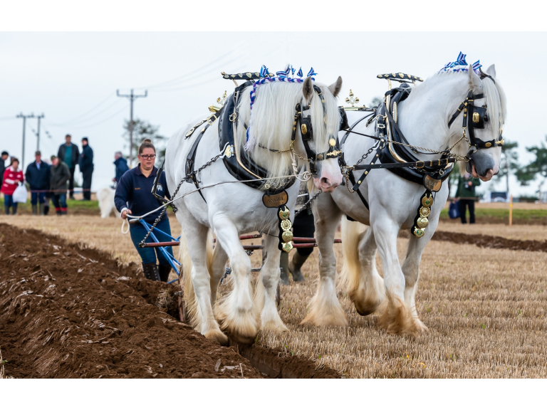 British National Ploughing Championships & Country Festival