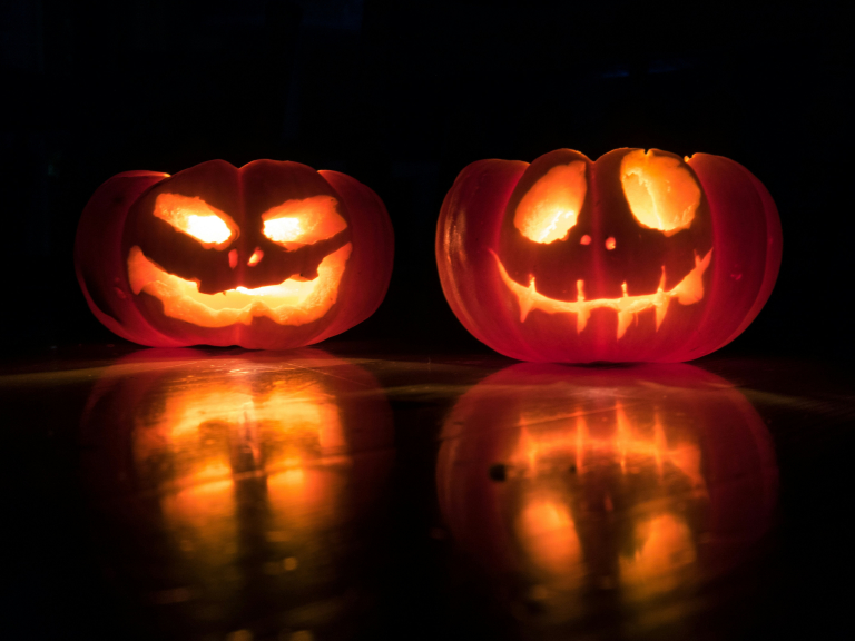 Halloween Fun & Skeleton Hunt at The Darwin, Shrewsbury
