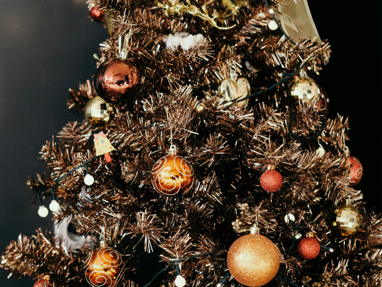 Christmas Day Celebration at Albright Hussey Manor