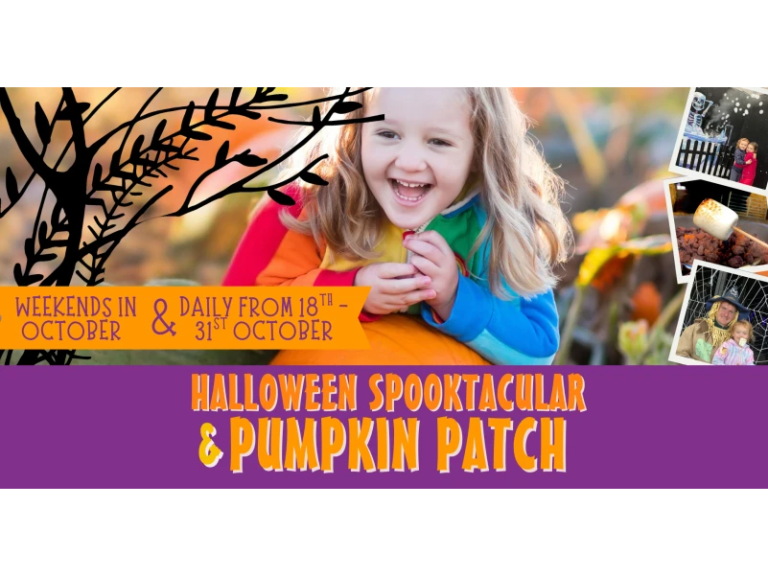 Halloween Spooktacular & Pumpkin Patch