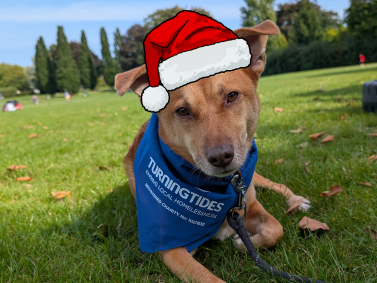 Bark in the Park - Christmas Special