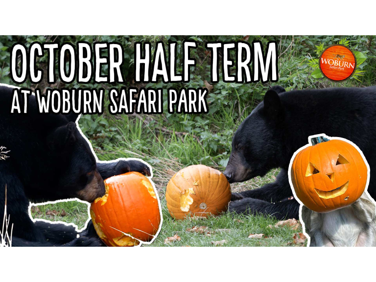 October Half Term at Woburn Safari Park 🎃👻