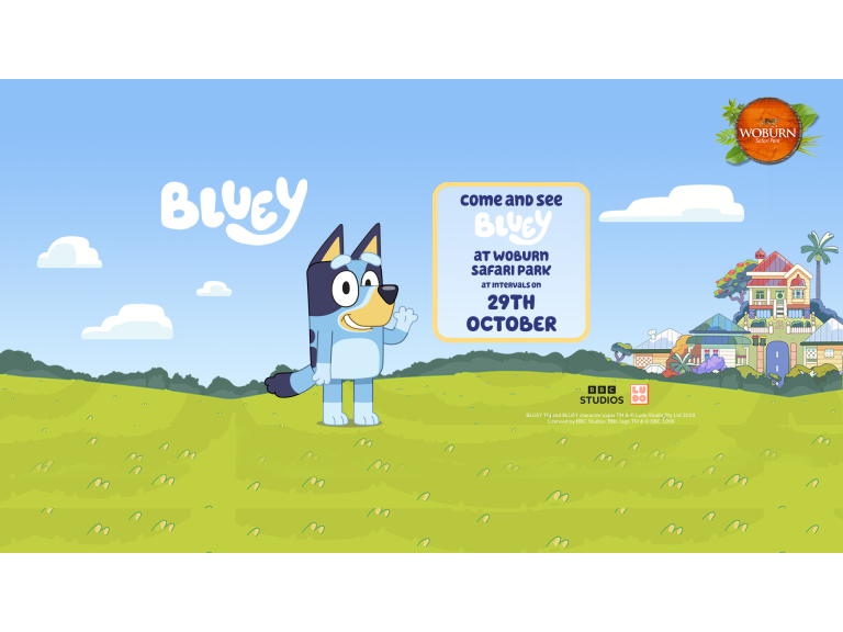 Come and meet Bluey on the 29th October! 
