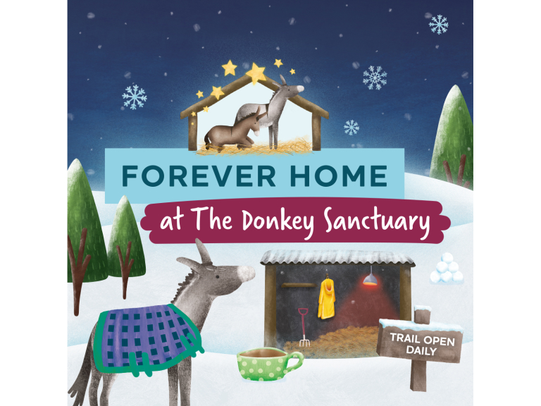 A Forever Home Winter Trail