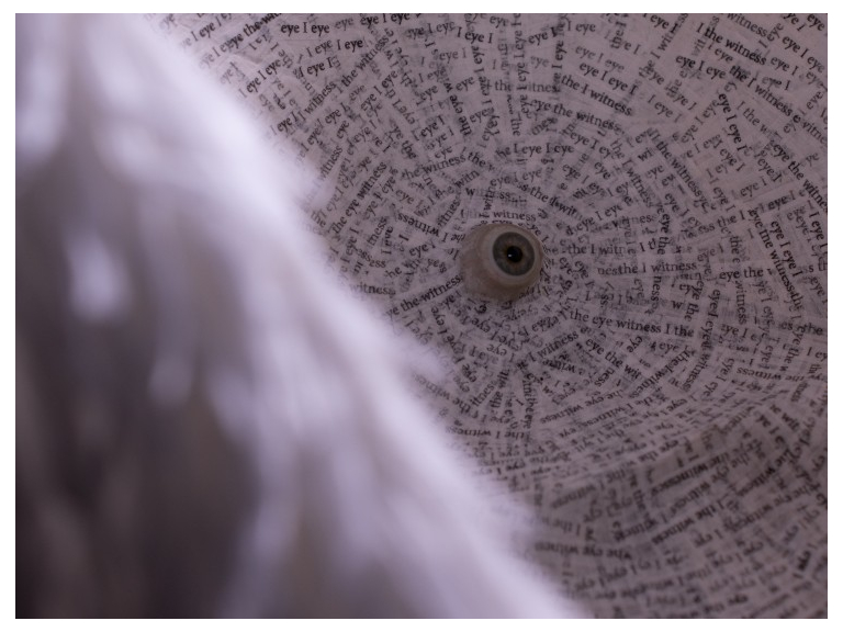 Charlotte Cooper: Eye, the Witness