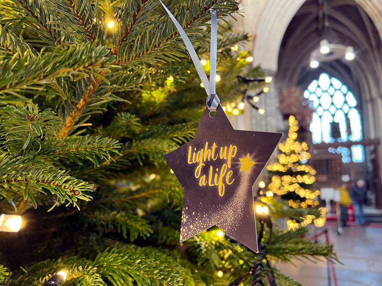Hospiscare's Light Up A Life At Exeter Cathedral