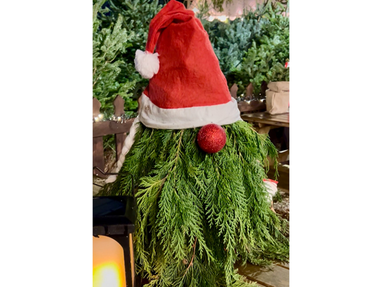 Festive Gnome-Making Experience