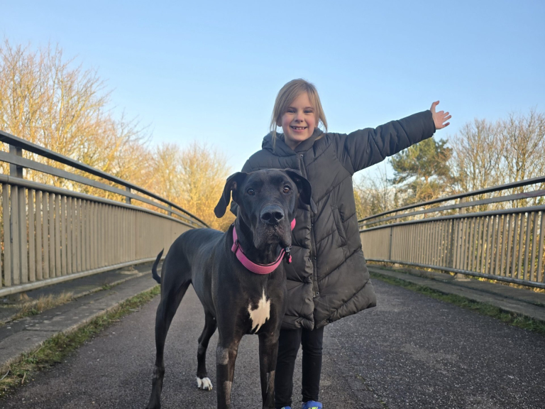 Walk 100 Miles With Your Dog