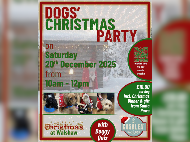 Dog's Christmas Party at Cosalea Walshaw