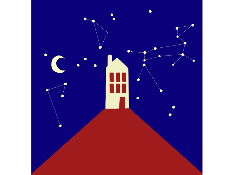 The Curious Incident of the Dog in the Night-Time