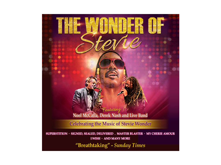 The Wonder of Stevie