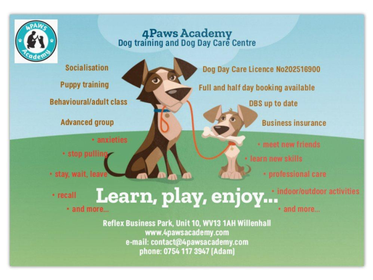 Doggy Day Care Now Open at 4 Paws Academy, Willenhall Walsall