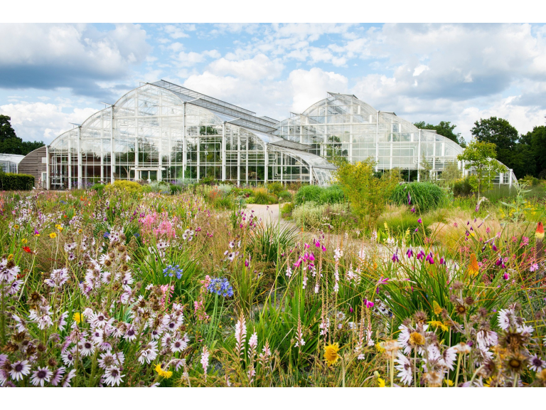 RHS Garden Wisley Wedding Showcase